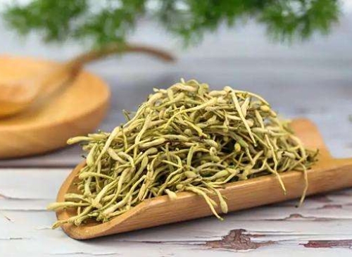 《清熱解毒藥》-金銀花